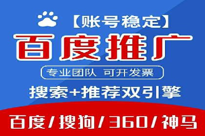 搜索引擎营销（SEM）成功案例详解
