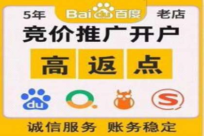 精准投放，高效转化——SEM竞价优化案例集